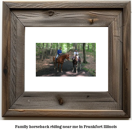 family horseback riding near me in Frankfort, Illinois